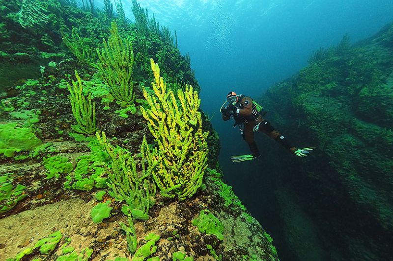 Невероятные подводные пейзажи