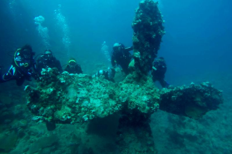 Рэки Красного моря