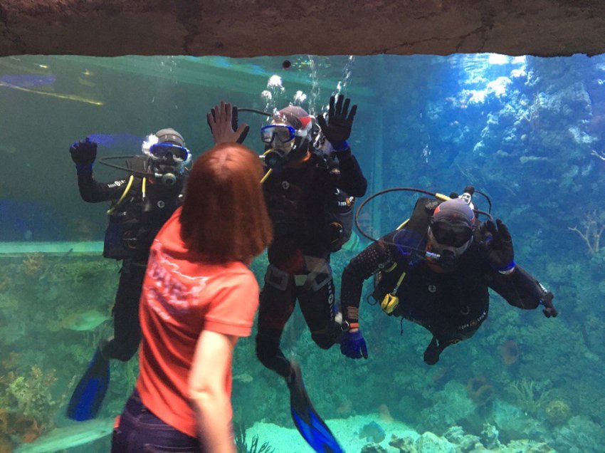 Junior open Water Diver Padi