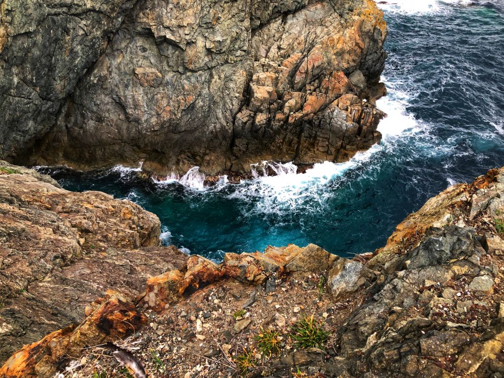 Отдых на японском море. Японское море вид сверху. Японское море бухта Витязь дайвинг. Японское море м тродами. Японское море в апреле.