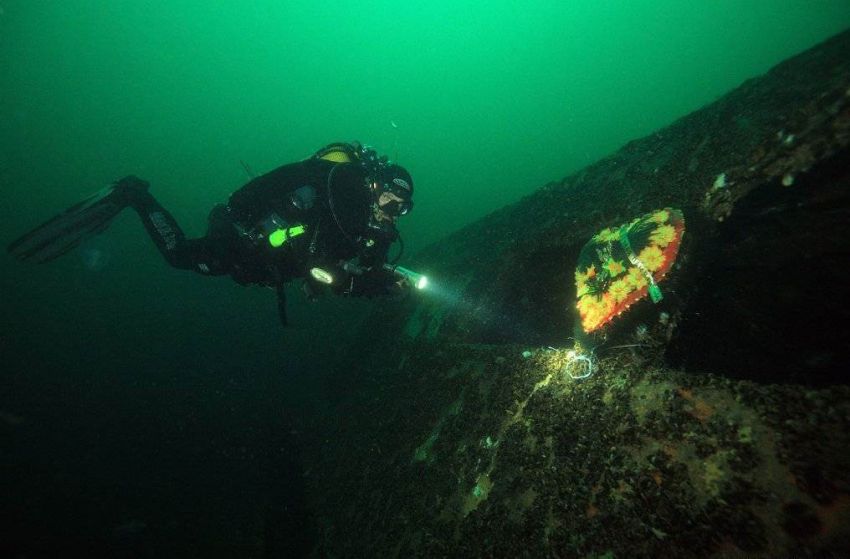 Дайвинг на Черном море