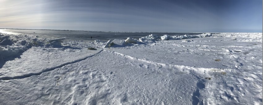 На льдине в Белом море. Фотобанк RuDIVE