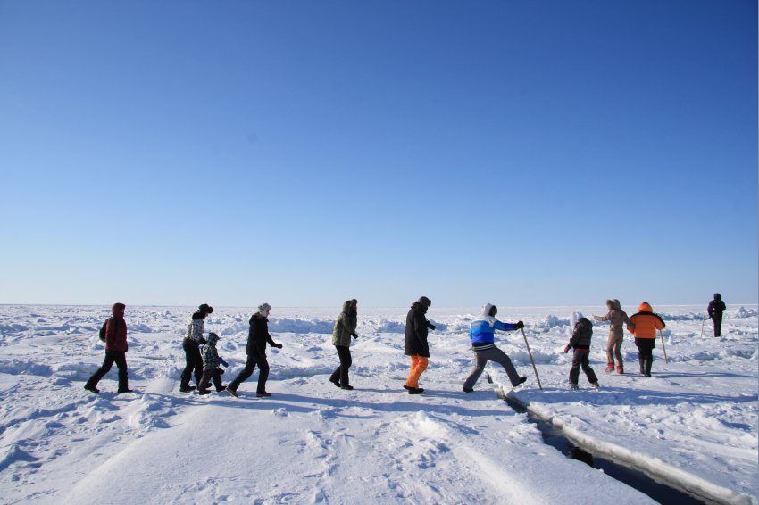 Путешественники на льдине Белого моря. Фотобанк RuDIVE