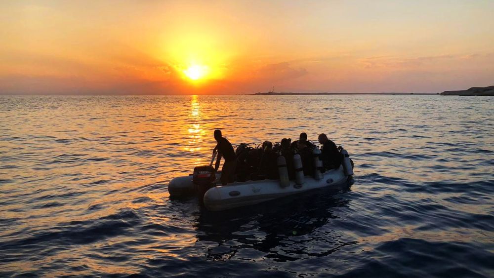 Ночной дайвинг на Красном море. Фотобанк RuDIVE
