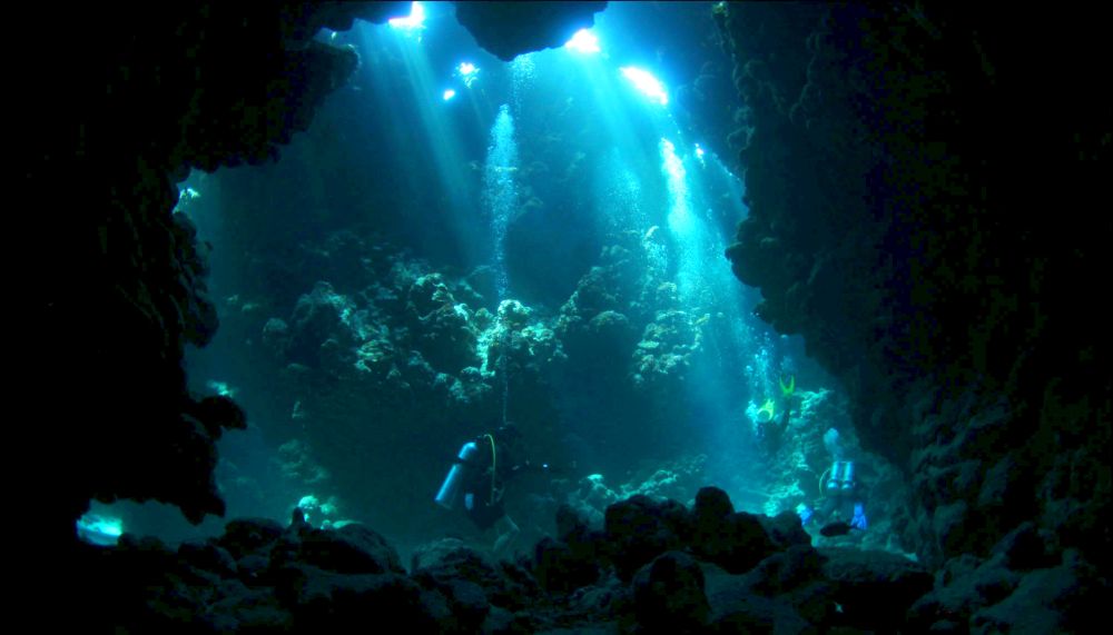 Подводные пещеры Красного моря. Дайв-сафари RuDIVE в Египте. Фотобанк RuDIVE