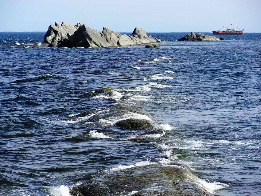 Путешествие на остров Вайгач. Фотобанк RuDIVE