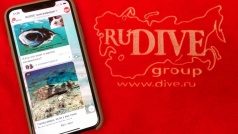 Соцсети RuDIVE и подписка на новостное письмо Соцсети RuDIVE и подписка на новостное письмо