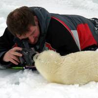 Наблюдение за бельками, экспедиция RuDIVE в 2007 году