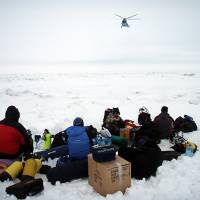 Наблюдение за бельками, экспедиция RuDIVE в 2007 году