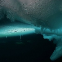 Северный полюс. Автор фото Александр Аристархов. RuDIVE