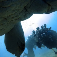 Египет, Красное море, Абу Даббаб. Дюгонь. Автор фото Андрей Савин, RuDIVE