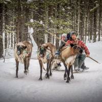 В гостях у кочевых оленеводов. Автор фото Илья Труханов. Тур RuDIVE  