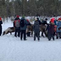 Экспедиция RuDIVE «Бельки Белого моря - 2019»