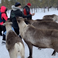 Экспедиция RuDIVE «Бельки Белого моря - 2019»