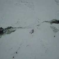 Льдина, белёк, путешественники: вид из вертолета. Экспедиция RuDIVE «Бельки Белого моря - 2019»