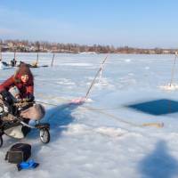 Курс айс-дайвинга PADI Ice Diver в Москве в дайвинг-клубе RuDIVE