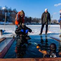 Курс айс-дайвинга PADI Ice Diver в Москве в дайвинг-центре "Спас-Каменка"