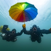 Гран-при в конкурсе подводной фотографии на озере Спас-Каменка — Евгений Марочкин