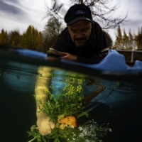 Номинация сплит (полводы) в конкурсе подводной фотографии на озере Спас-Каменка — Елена Азарова
