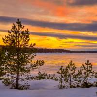 Дайв-центр "Полярный круг". Русский Север. Автор фото Илья Труханов. RuDIVE