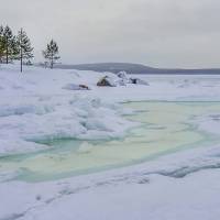 Дайв-центр "Полярный круг". Зимний дайвинг. Автор фото Илья Труханов. RuDIVE