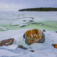 Дайв-центр "Полярный круг". Природа в заливе. Автор фото Илья Труханов. RuDIVE