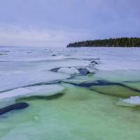 Дайв-центр "Полярный круг". Природа в заливе. Автор фото Илья Труханов. RuDIVE