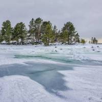 Дайв-центр "Полярный круг". Природа в заливе. Автор фото Илья Труханов. RuDIVE