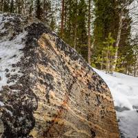 Дайв-центр "Полярный круг". Природа в заливе. Автор фото Илья Труханов. RuDIVE