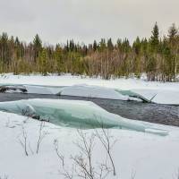 Дайв-центр "Полярный круг". Прогулка в лесу. Автор фото Илья Труханов. RuDIVE