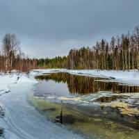 Дайв-центр "Полярный круг". Прогулка в лесу. Автор фото Илья Труханов. RuDIVE