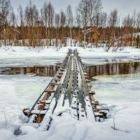 Дайв-центр "Полярный круг". Прогулка в лесу. Автор фото Илья Труханов. RuDIVE