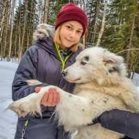 Дайв-центр "Полярный круг". Экскурсия в питомник хаски. Автор фото Илья Труханов. RuDIVE