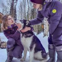 Дайв-центр "Полярный круг". Экскурсия в питомник ездовых собак. Автор фото Илья Труханов. RuDIVE