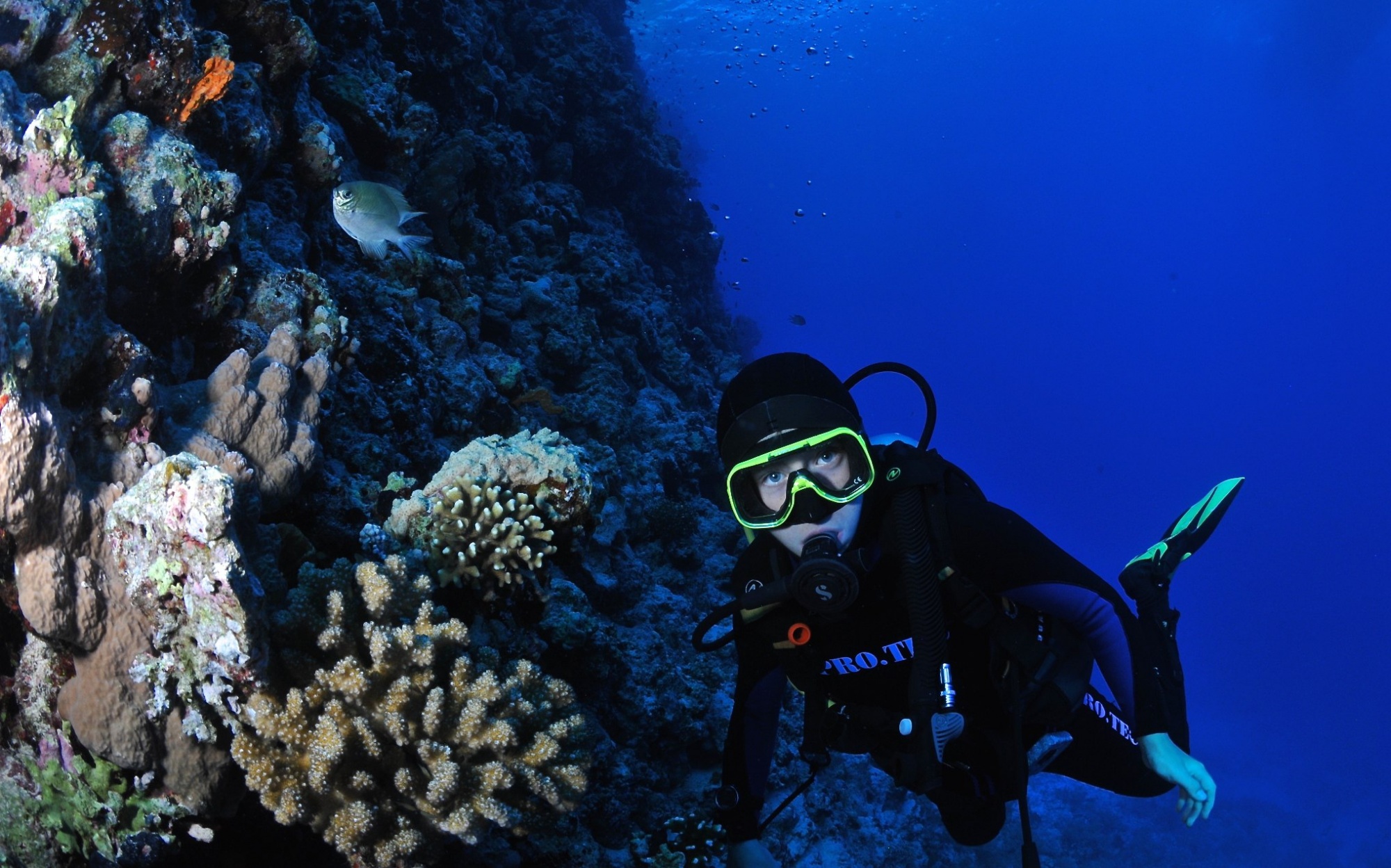 Курс Junior Open Water Diver (от 10 лет) PADI