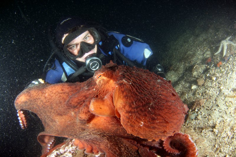 Японское море, бухта Троицы