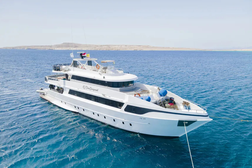 Sea Serpent Serena