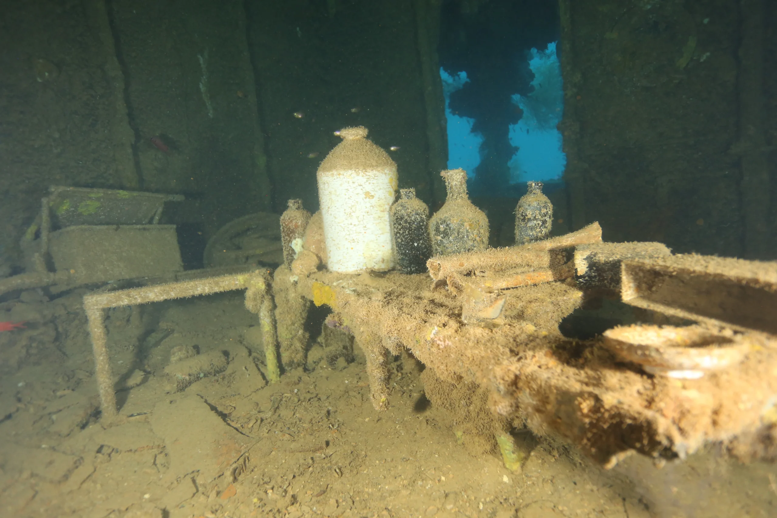 Особенности дайвинга